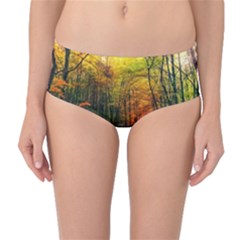 Forest Woods Autumn Nature Mid-waist Bikini Bottoms by Proyonanggan