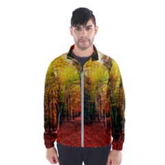 Forest Woods Autumn Nature Men s Windbreaker