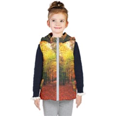 Forest Woods Autumn Nature Kids  Hooded Puffer Vest