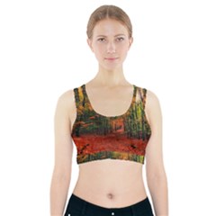 Forest Woods Autumn Nature Sports Bra With Pocket by Proyonanggan