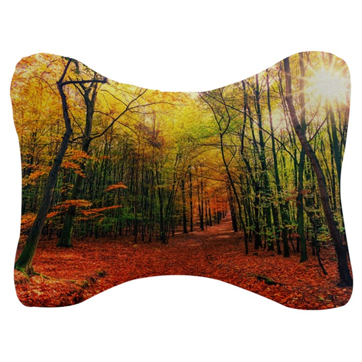 Forest Woods Autumn Nature Velour Seat Head Rest Cushion