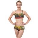 Forest Woods Autumn Nature Layered Top Bikini Set View1