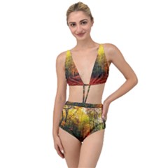 Forest Woods Autumn Nature Tied Up Two Piece Swimsuit by Proyonanggan