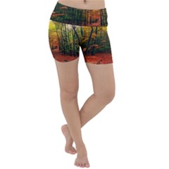 Forest Woods Autumn Nature Lightweight Velour Yoga Shorts by Proyonanggan