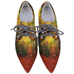 Forest Woods Autumn Nature Pointed Oxford Shoes by Proyonanggan