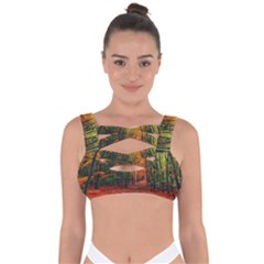 Forest Woods Autumn Nature Bandaged Up Bikini Top by Proyonanggan