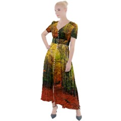 Forest Woods Autumn Nature Button Up Short Sleeve Maxi Dress by Proyonanggan