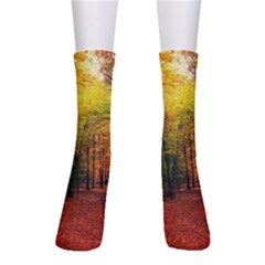 Forest Woods Autumn Nature Crew Socks by Proyonanggan