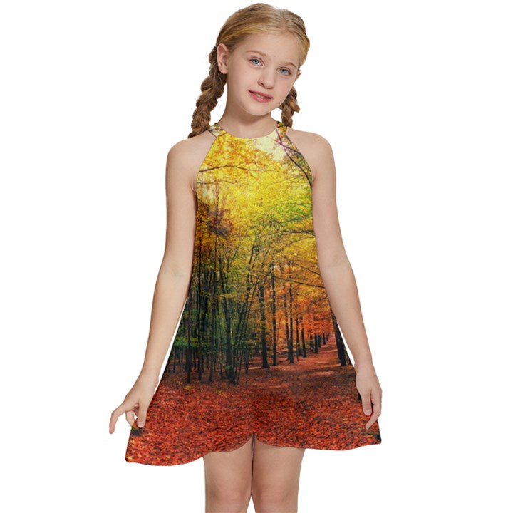 Forest Woods Autumn Nature Kids  Halter Collar Waist Tie Chiffon Dress