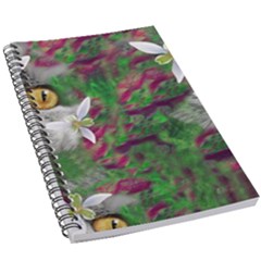 Illustrations Color Cat Flower Abstract Textures 5 5  X 8 5  Notebook