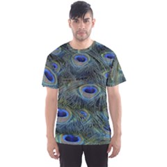 Peacock Feathers Details Men s Sport Mesh T-shirt