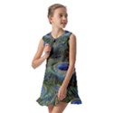 Peacock Feathers Details Kids  Pilgrim Collar Ruffle Hem Dress View2