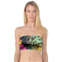 Monkey Tiger Bird Parrot Forest Jungle Style Bandeau Top View1