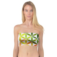 Mandala Rainbow Colorful Bandeau Top