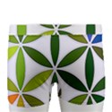 Mandala Rainbow Colorful Men s Boxer Briefs View4