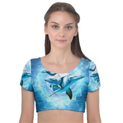 Dolphin Blue Fantasy Velvet Short Sleeve Crop Top  by Loisa77