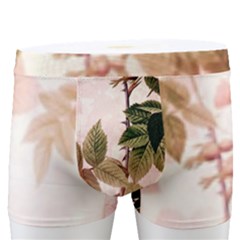 Flower Plant Vintage Retro Men s Boxer Briefs