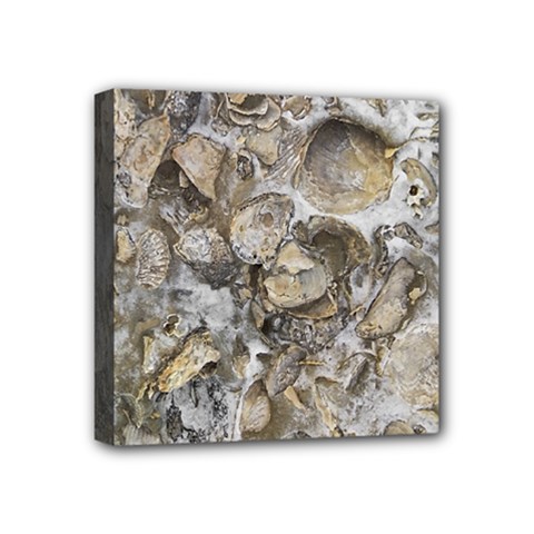 Fossilized Seashell Texture Print Design Bk Mini Canvas 4  X 4  (stretched) by dflcprintsclothing