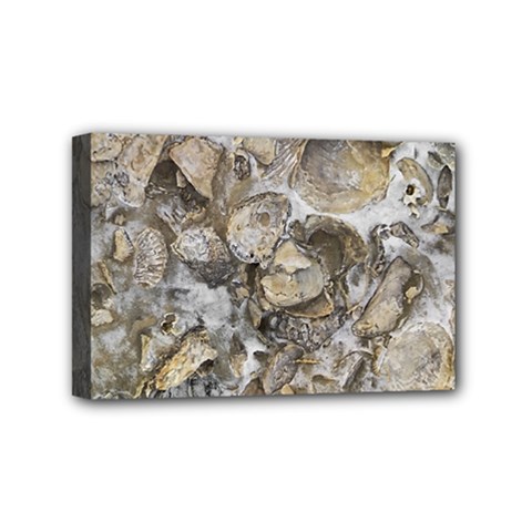 Fossilized Seashell Texture Print Design Bk Mini Canvas 6  X 4  (stretched) by dflcprintsclothing