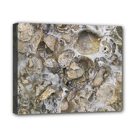 Fossilized Seashell Texture Print Design Bk Canvas 10  X 8  (stretched) by dflcprintsclothing