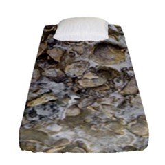 Fossilized Seashell Texture Print Design Bk Fitted Sheet (single Size) by dflcprintsclothing