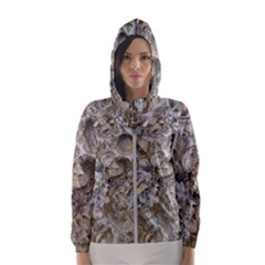 Fossilized Seashell Texture Print Design Bk Women s Hooded Windbreaker