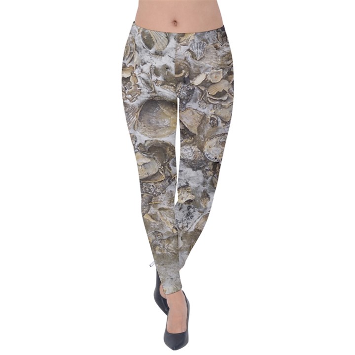 Fossilized Seashell Texture Print Design Bk Velvet Leggings