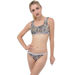 Fossilized Seashell Texture Print Design Bk The Little Details Bikini Set