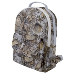 Fossilized Seashell Texture Print Design Bk Flap Pocket Backpack (small) by dflcprintsclothing