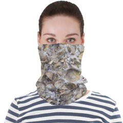 Fossilized Seashell Texture Print Design Bk Face Seamless Bandana (adult) by dflcprintsclothing