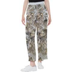 Fossilized Seashell Texture Print Design Bk Women s Pants 