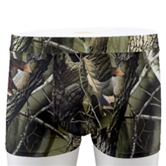 Realtree Camo Seamless Pattern Men s Boxer Briefs