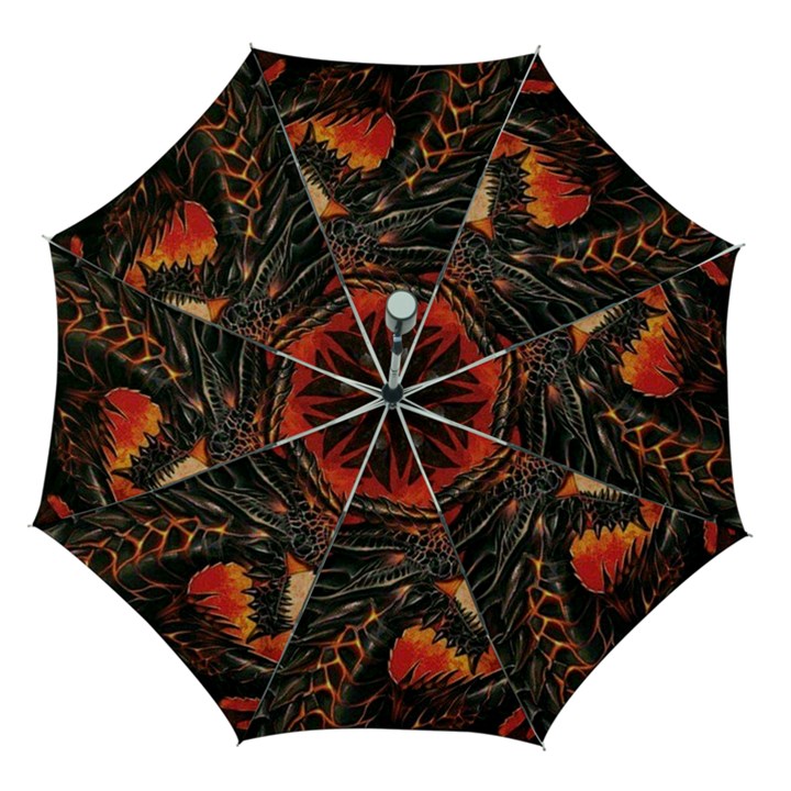 Dragon Automatic Folding Umbrella with Case (Medium)