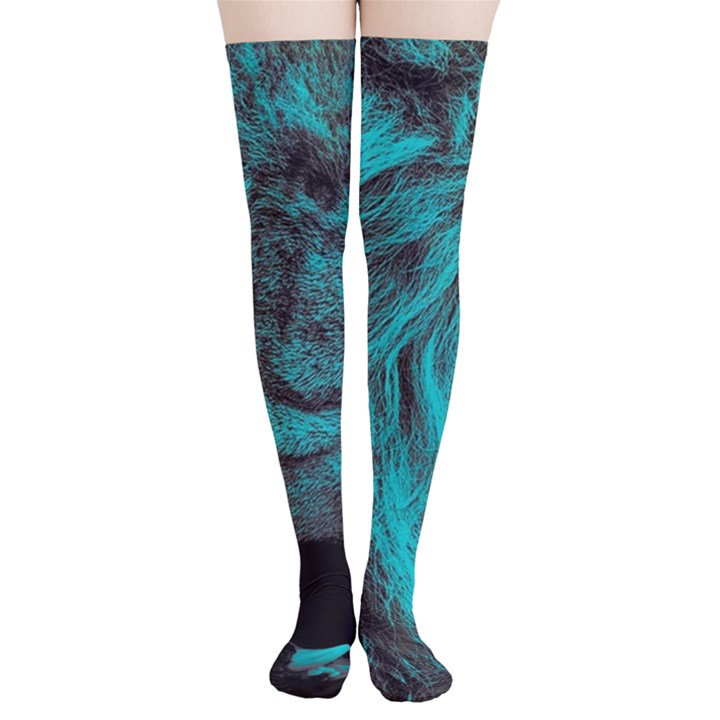 Angry Male Lion Predator Carnivore Thigh High Stockings