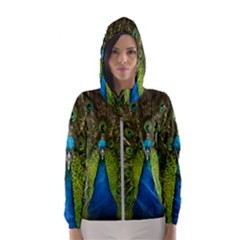 Peacock Feathers Bird Plumage Women s Hooded Windbreaker