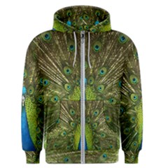 Peacock Feathers Bird Plumage Men s Zipper Hoodie