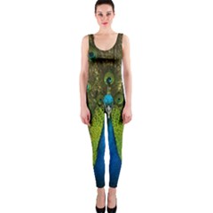 Peacock Feathers Bird Plumage One Piece Catsuit