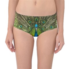 Peacock Feathers Bird Plumage Mid-waist Bikini Bottoms by Perong