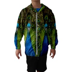 Peacock Feathers Bird Plumage Kids  Hooded Windbreaker