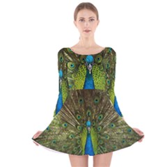 Peacock Feathers Bird Plumage Long Sleeve Velvet Skater Dress