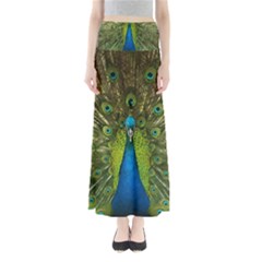 Peacock Feathers Bird Plumage Full Length Maxi Skirt by Perong