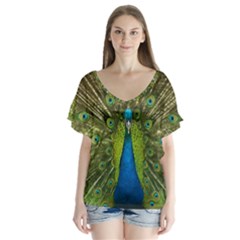 Peacock Feathers Bird Plumage V-neck Flutter Sleeve Top