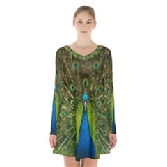 Peacock Feathers Bird Plumage Long Sleeve Velvet V-neck Dress