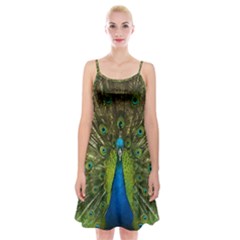 Peacock Feathers Bird Plumage Spaghetti Strap Velvet Dress