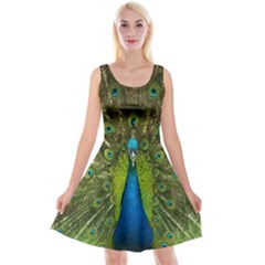 Peacock Feathers Bird Plumage Reversible Velvet Sleeveless Dress