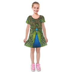 Peacock Feathers Bird Plumage Kids  Short Sleeve Velvet Dress