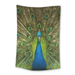 Peacock Feathers Bird Plumage Small Tapestry