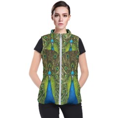 Peacock Feathers Bird Plumage Women s Puffer Vest