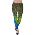 Peacock Feathers Bird Plumage Velvet Leggings View1