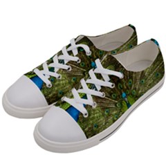 Peacock Feathers Bird Plumage Women s Low Top Canvas Sneakers